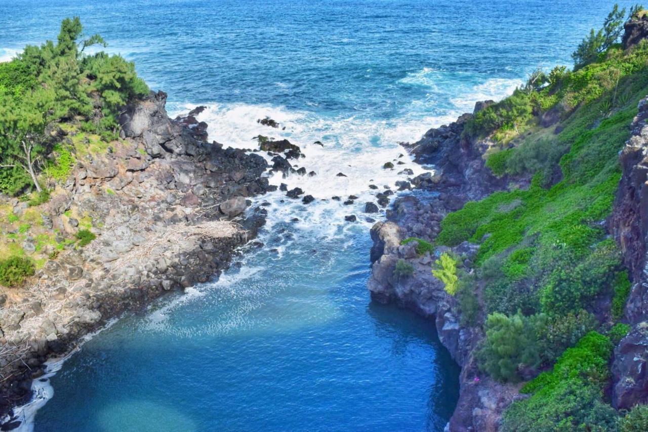 L'Abri-Cotier A 150M De La Plage De Boucan Saint-Gilles-les Bains Kültér fotó